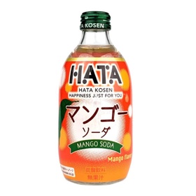 HATA Erfrischungsgetränk mit Mangogeschmack 300ml